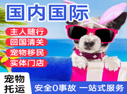 临沂机场物流国际宠物托运 【国